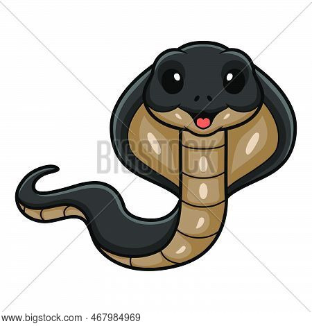 Vector Illustration Of Cute Javan Spitting Cobra Cartoon