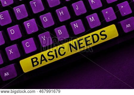Hand Writing Sign Basic Needs. Internet Concept Something That You Must Have In Order To Sustain Or 