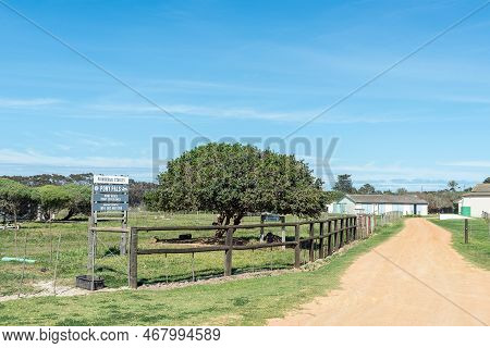 Struisbaai, South Africa - Sep 22, 2022: Entrance To Prinskraal Stables Next To The Road Between Arn