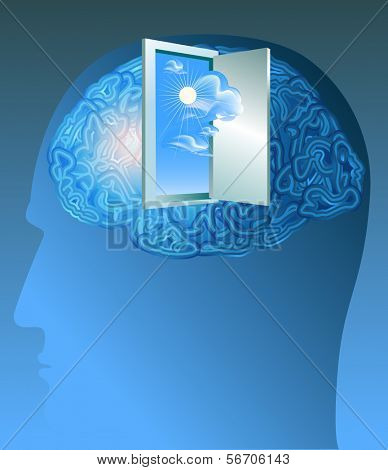 cervello