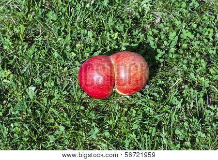 Fresh Apples With  Deformations