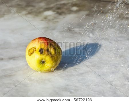 Fresh Apples With Funny Deformations