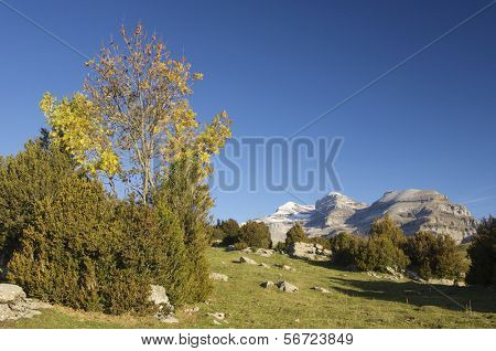 Visning af massivet af Monte Perdido i Ordesa National Park; Spanien