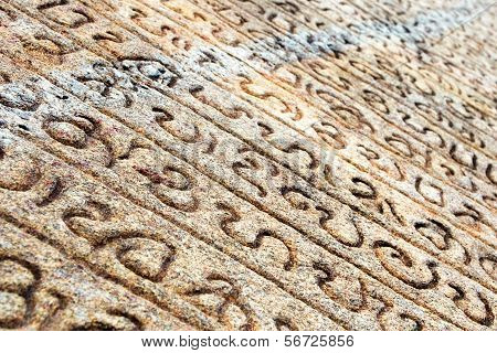Sinhalese Scripts