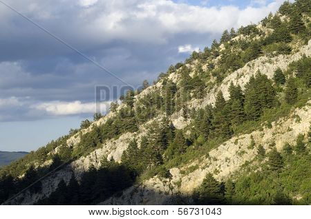 foresta nella zona conosciuta come Maestrazgo in Teruel, Spagna