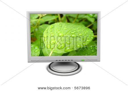 LCD fladskærms tv overvågning grønne blade