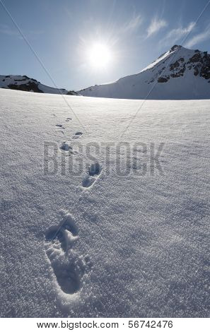 ver en contraluz de Bacias pico, Panticosa, Pirineo, Huesca, Aragon, España