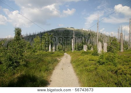 Mount Lusen