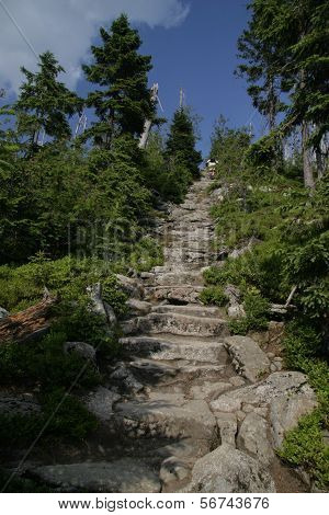 jacobs ladder