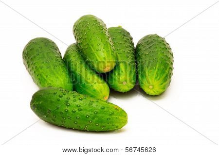 Isolated Cucumbers