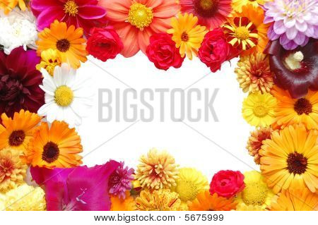 Quadro da fiori con petali di vari colori