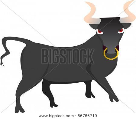 Bull med Ring