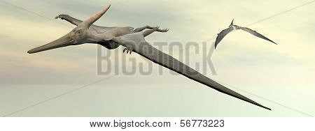 Pteranodon dinosaurs flying - 3D render