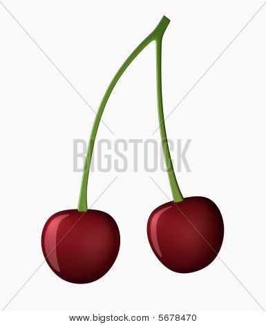 Třešeň