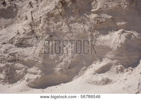 Beach Sand Bank