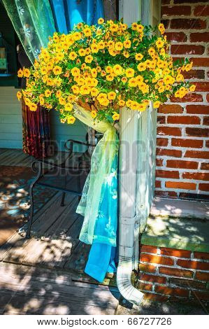 Hanging Flowers