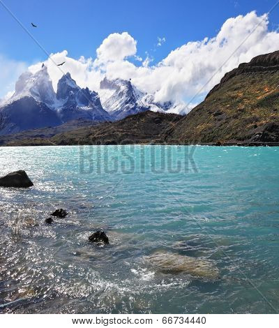 Magic beauty of Lake Pehoe. A strong wind blows turquoise waves on the lake, grand cliffs of Los Kuernos covered with snow and ice
