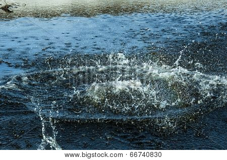 ripples
