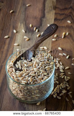 Farro