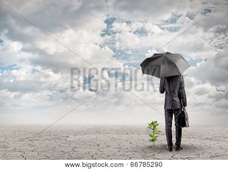 Rear view of businessman protecting little sprout with umbrella