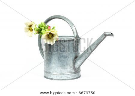 Verzinkte Gießkanne