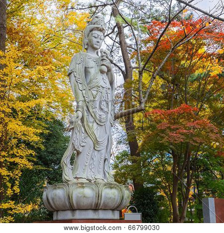 Chinese Goddess At Zojoji Temple in Tokyo