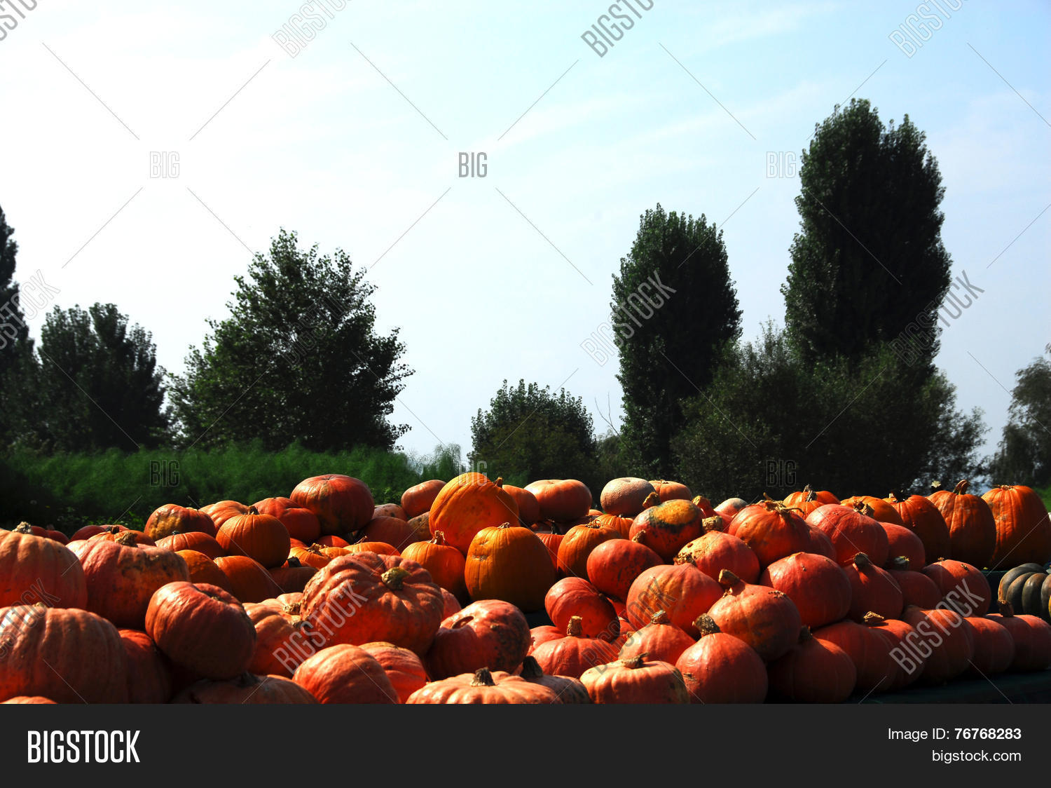 Image Preview