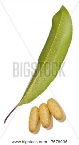Medicina naturale