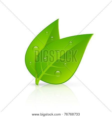 Green leaves realistic image print