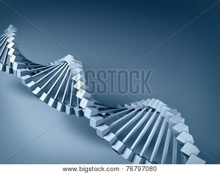 Dna Model.