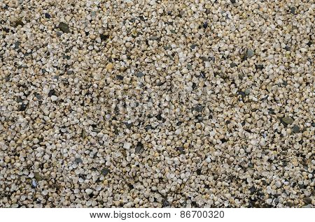 Sea shell beach