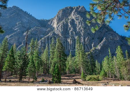 Mountain View In Sequoia National Forest