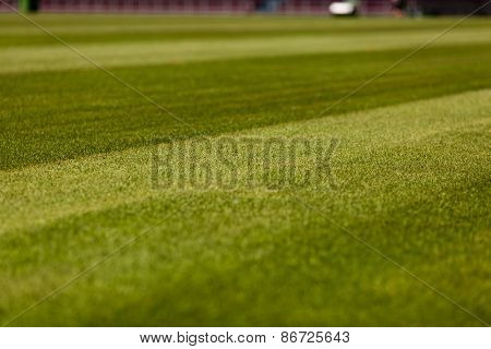 Soccer Pitch