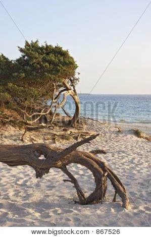 Sardinien