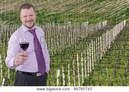 Businessman holding glass of wine with vineyard in background