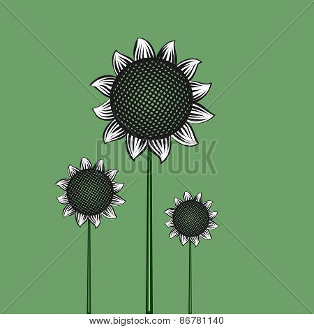 Sunflowers flat vector