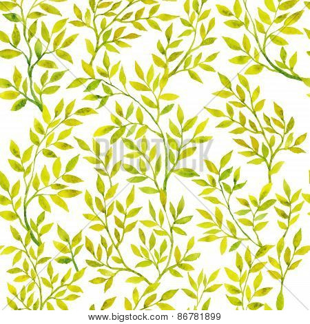 Watercolor Green Flora