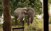 Elefante Lodge