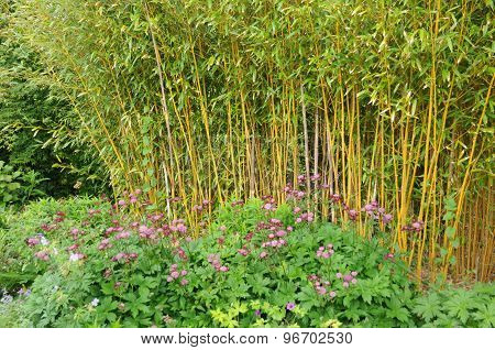 Brittany, Le Jardin Lepage In Pleumeur Bodou