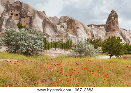 Rock formations of Cappadocia