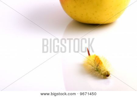 Housenka a Apple