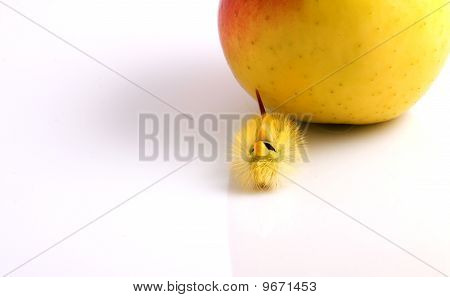 Housenka a Apple