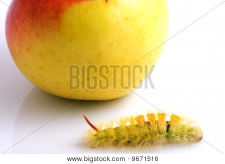 Housenka a Apple