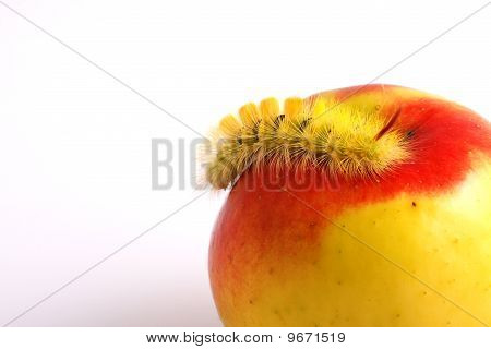 Housenka a Apple