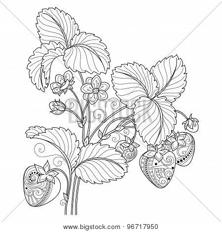 Vector Monochrome Fruit Background