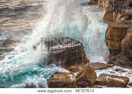 Tasman National Park