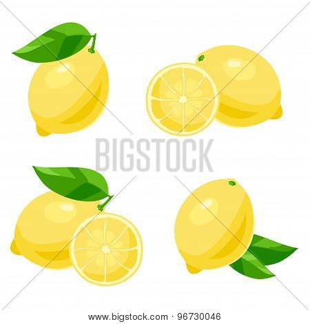 Lemon. Vector