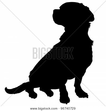 Mixed Breed Silhouette