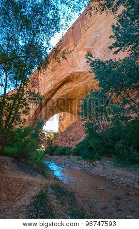 Jacob Hamblin Arch