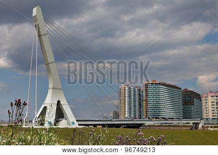 Cable-stayed Steam Pipe Bridge